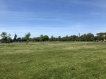 Images for ** NO FEES **Clarence Parade