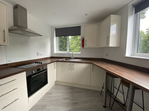 View Full Details for Pound Tree Road