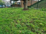 Images for Cameron Road, Bromley