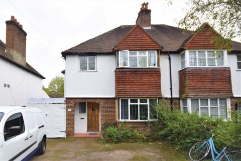 View Full Details for Ash Grove